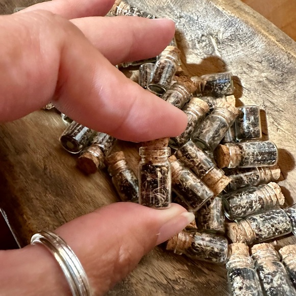 PINK Cockscomb Seeds - Picture 2 of 3